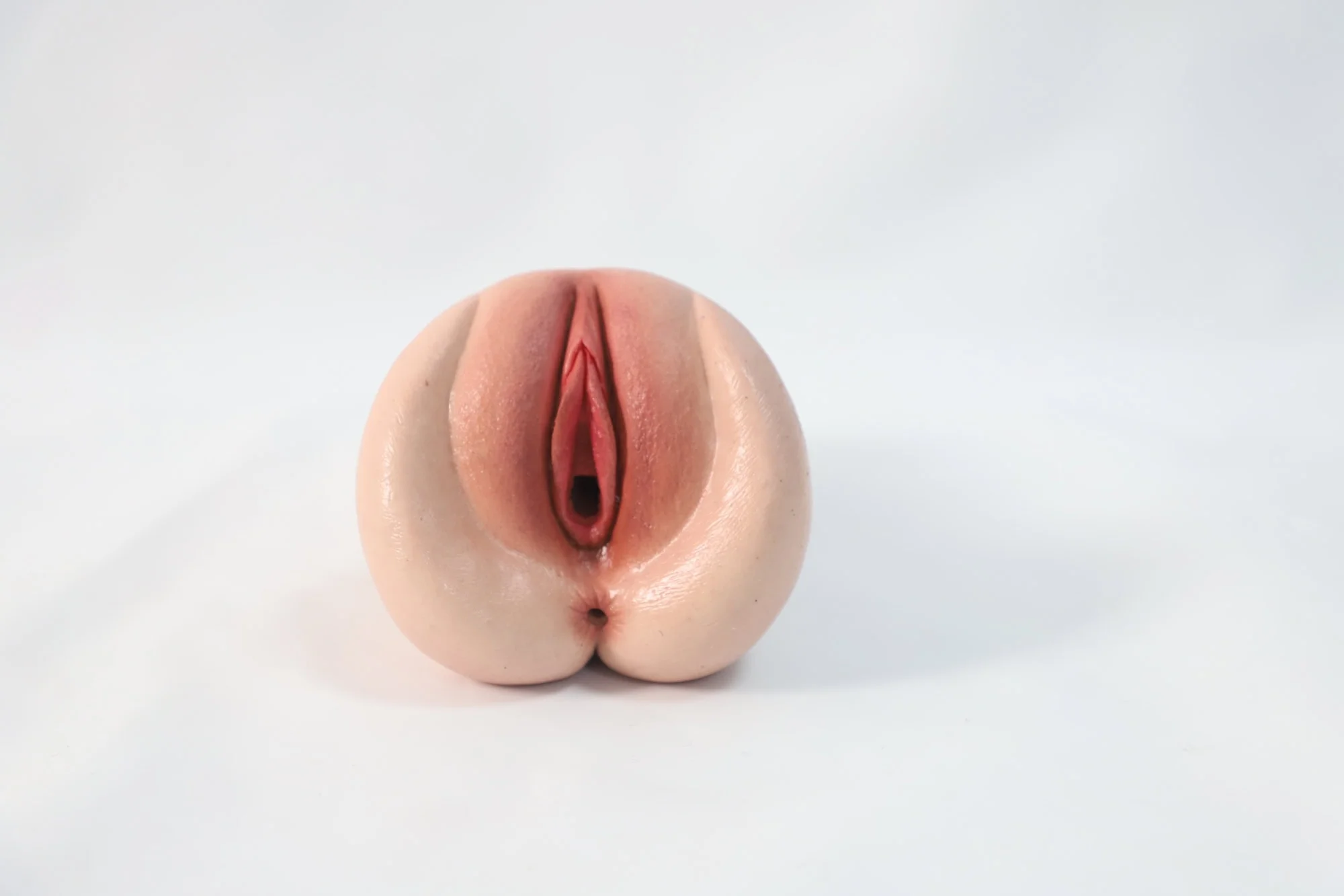 Anatomisch detailliertes Inneres
