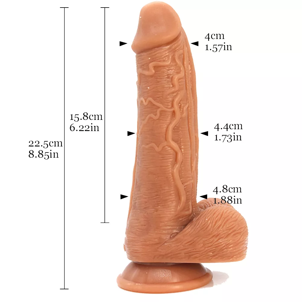 Especificaciones del producto