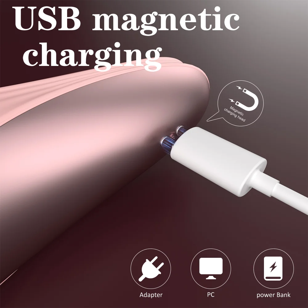 Rechargeable Battery