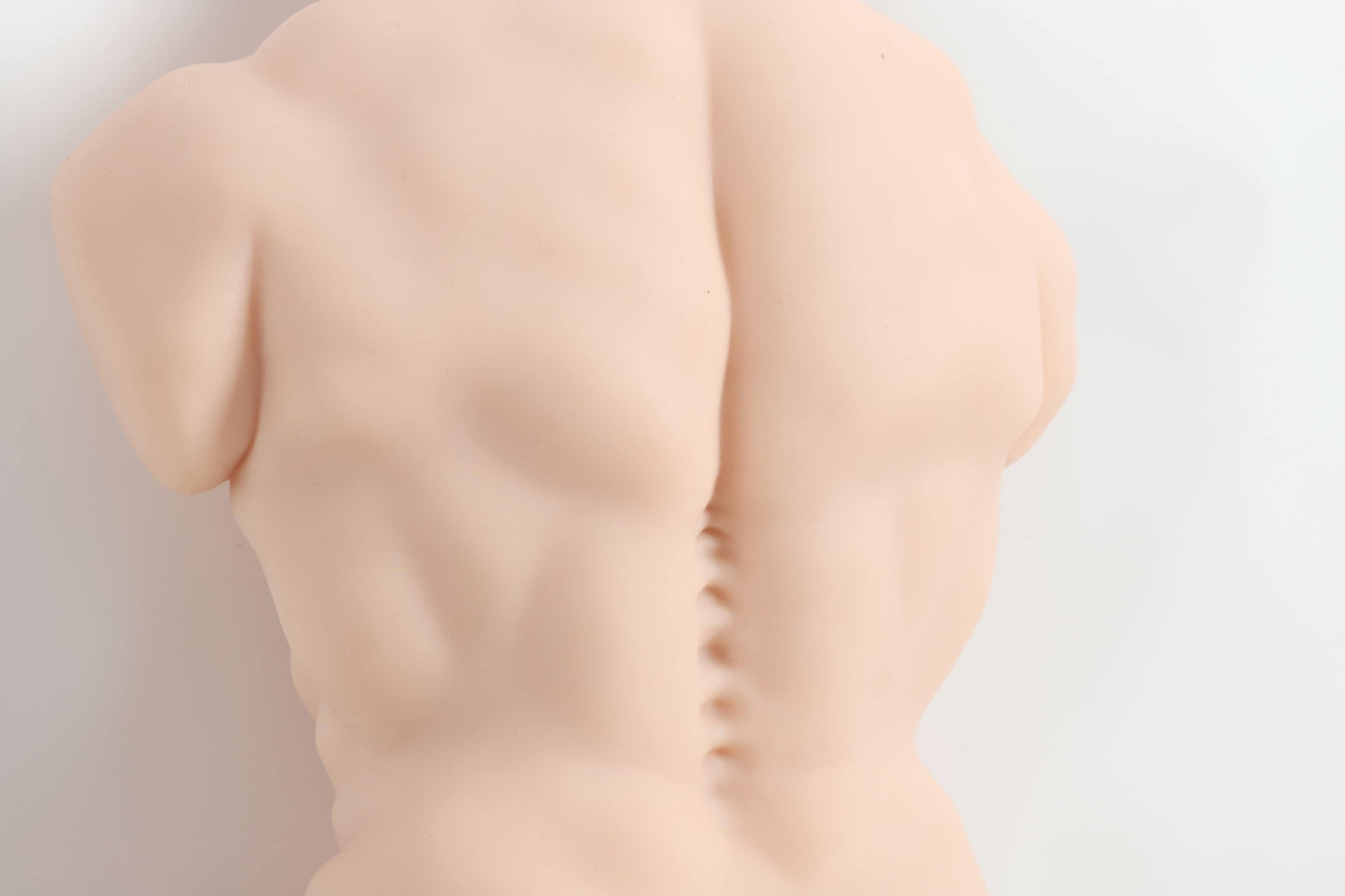 Justin Male Torso Doll 9kg