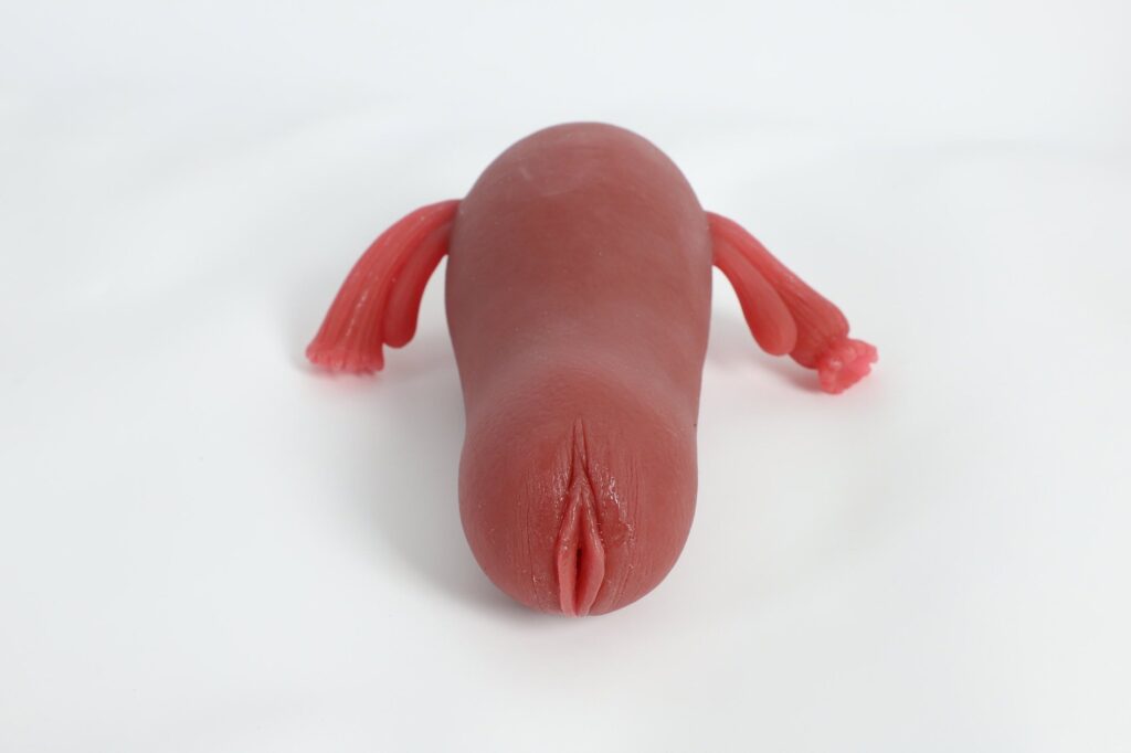 Cici torso bambola 3,4 kg 9.jpg