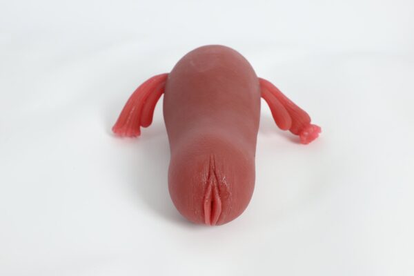 Cici torso doll 3.4 kg 9.jpg