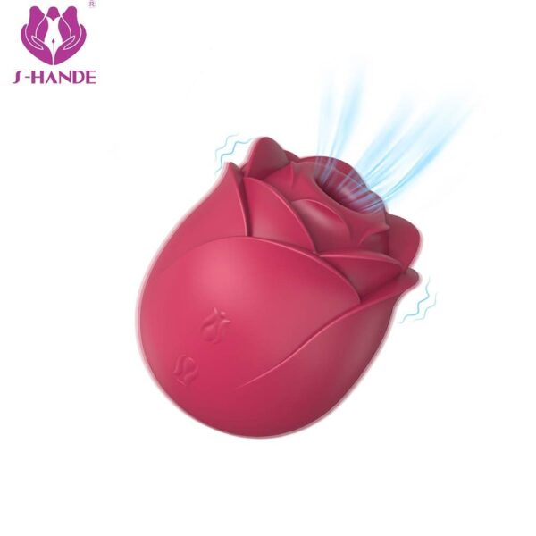 Immortal flowers 2 rose sucker 6.jpg