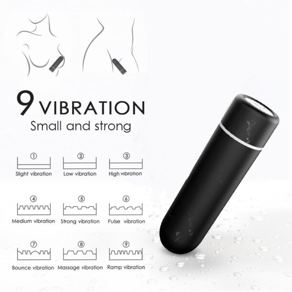 Seed bullet vibrator 12.jpg
